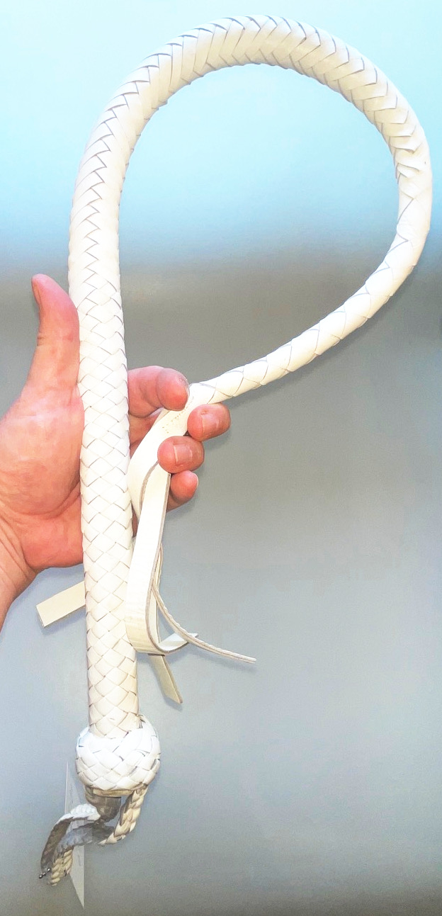 Kanadische Shortpeitsche kurze Singletail - White Weiss