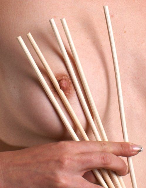 5er-Pack Cane unbehandelt - geschält, Ø ca. 5mm, Länge ca. 80cm